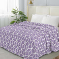 Elegant Comfort Luxury Velvety-Soft Coral Flannel Blanket Micro-Velour Ultra-Softness Fuzzy Plush, King/California King, Lavender