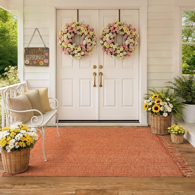 Collive 3' x 5' Indoor Outdoor Rug, Modern Farmhouse Entryway Rug Washable Kitchen Rugs, Hand-Woven Front Door Mat Throw Carpet for Bedside Nursery Porch Terracotta Fall Decor