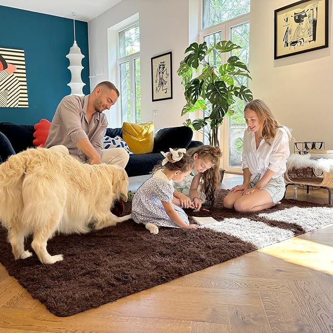 OLANLY 5x6 Area Rugs for Living Room Bedroom, Machine Washable Soft Fluffy Shaggy Bedside Rug, Indoor Floor Carpet for Kids Girls and Boys, Dorms, Nursery Rooms, Home Decor Aesthetic, Coffee