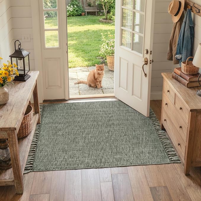 Collive 3' x 5' Indoor Outdoor Porch Rug, Sage Green Modern Farmhouse Entryway Rug Boho Front Door Mat, Hand-Woven Washable Kitchen Rugs for Patio Bedside Nursery Decor