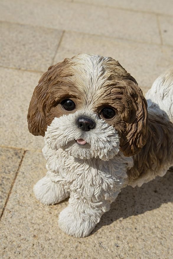 HI-LINE Gift Brown & White Standing Shih TZU