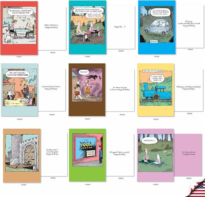 NobleWorks 36 Assorted Funny Birthday Cards in Bulk Box Set with Envelopes Dave Coverly Cartoon Humor Cake Time for Men and Women AC9375BDG-B1x36
