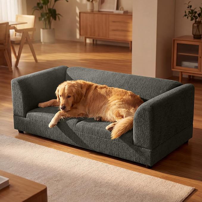 56.5" Dog Sofa Couch for Medium and Large Dogs with Backrest and Armrest, Memory Foam Dog Sofa Bed, Modern Elevated Pet Couch Bed with Legs for Dogs, Dark Grey