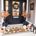 Tinideya Hello Pumpkin Layered Door Mat, Fall Welcome Coir Mats, 2 Pcs