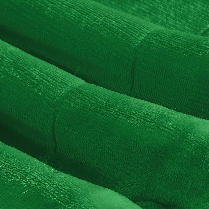 Elegant Comfort Ultra Soft Reversible Flannel Sherpa Blanket - Cozy Silky Fleece Throw for Couch, Bed - Plush Fuzzy Warm Winter Blanket for Gift, Twin XL, Emerald Green