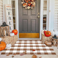 Ckorzen Coffee and White Plaid Rug, 3' x 5' Outdoor Front Porch Door Decor Mat, Washable Cotton Woven Farmhouse Area Rug for Layered Door Mats Carpet, Entryway, Easter Décor