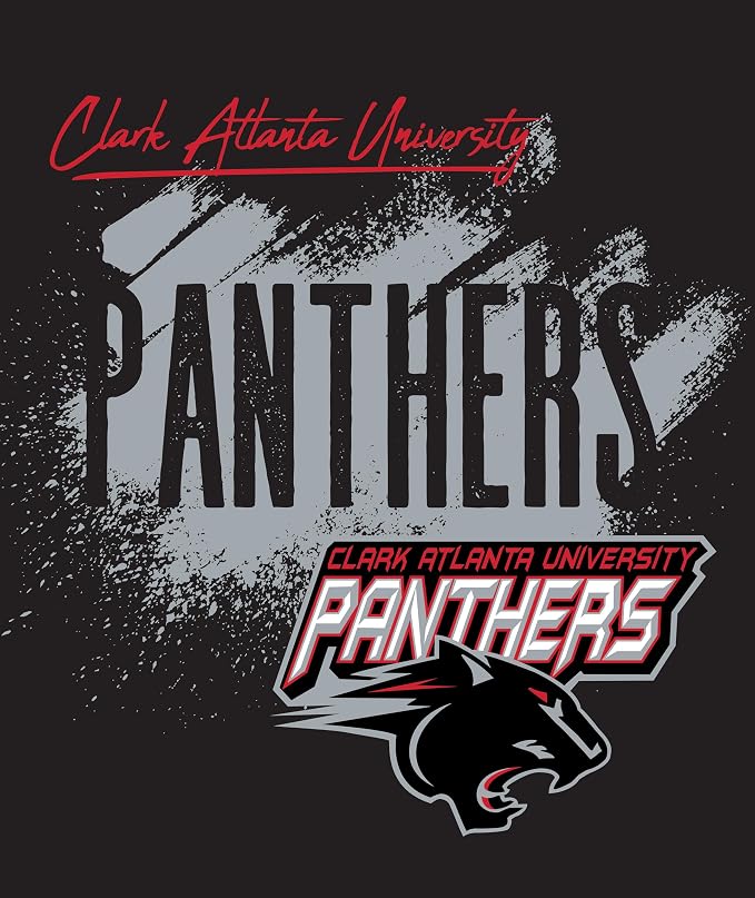 Northwest NCAA Unisex-Adult Silk Touch Throw Blanket