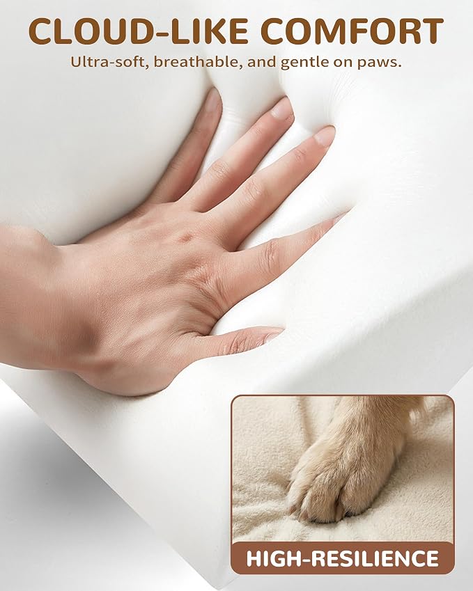Boucle Dog Bed with Pillow, Furniture Style Dog Couch with Backrest, Washable Calming Pet Sofa Lounge for Small Medium Dogs, Beige