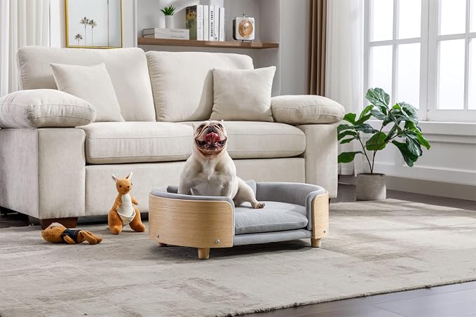 Scandinavian Dog Bed Mid-Century Pet Sofa with Velvet Cushion & Solid Wood Legs, Removable Cover, 30.7” for Medium Dogs, Natural Frame & Light Grey Cushion