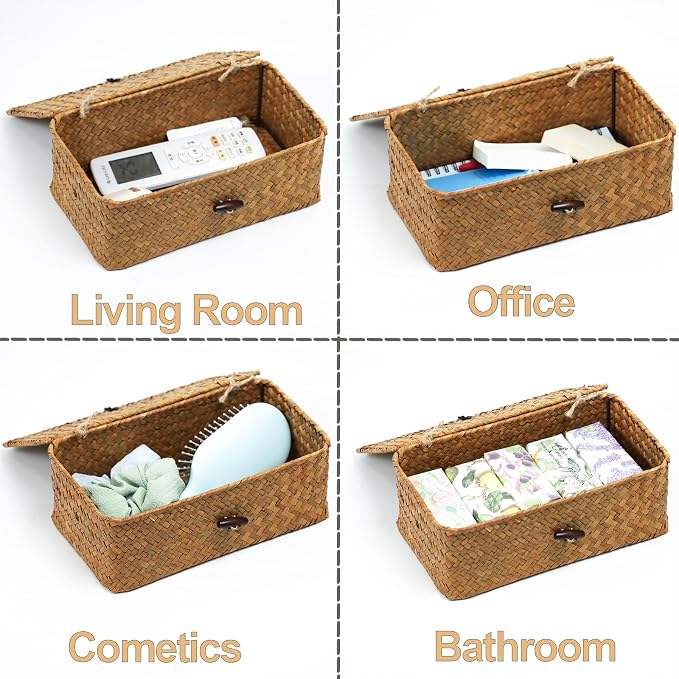 Seagrass Wicker Storage Baskets with Lids, Set of 2, Natural | Small and Medium Storage Boxes, Shelf Organizer Bins, Rectangular Woven Design, Multipurpose Home Storage, Natural Decor