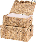 LUSYDECO Set of 2 Scalloped Edge Wicker Basket with Lids, Rectangle Wicker Storage Basket with Built-in Handles, Multipurpose Organizer Rattan Display Boxes for Shelf, Nursery Room