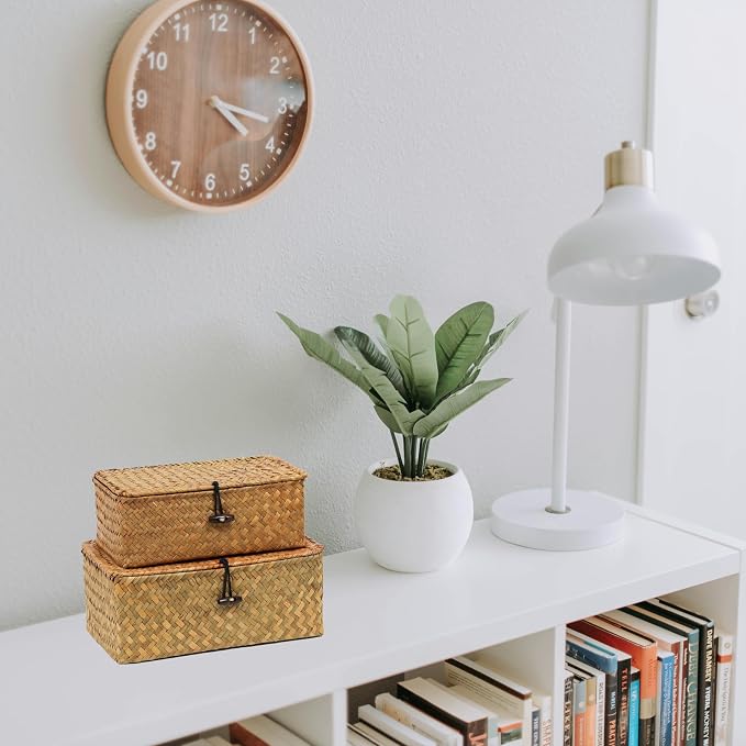 Seagrass Wicker Storage Baskets with Lids, Set of 2, Natural | Small and Medium Storage Boxes, Shelf Organizer Bins, Rectangular Woven Design, Multipurpose Home Storage, Natural Decor