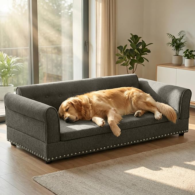 55" Dog Sofa for Medium to Large Dogs, Button Tufted Dog Couch Bed with Backrest and Armrests, Durable Memory Foam Pet Bed, Removable Cushion for Medium and Large Dogs, Dark Grey