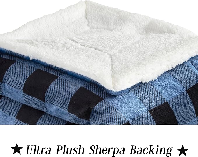 Elegant Comfort Luxury Ultra-Plush Velvet Touch Buffalo Plaid Fleece Throw - Soft, Warm, Cozy Micromink Sherpa-Backing Reversible Blanket for Bed, Sofa and Couch, Buffalo Blue