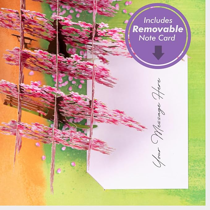 Paper Love Pop Up Cards 2 Pack - Includes 1 Spring Bouquet and 1 Cherry Blossom Park, for All Occasions, Mother Day, Birthday, Just Because- Includes Envelope and Note Tag