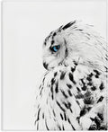 Stupell Industries Snow Owl Peering Blue Eyes, 36 x 48 Inch Canvas Wall Art | Stupell Industries · By Design Fabrikken · Ready to hang · Cabin and lodge decor · Made in USA