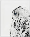 Snow Owl Peering Blue Eyes, 24 x 30 Inch Canvas Wall Art | Stupell Industries | 24 x 30 Inches, Easy to Hang and Sturdy, Made in USA, by Design Fabrikken