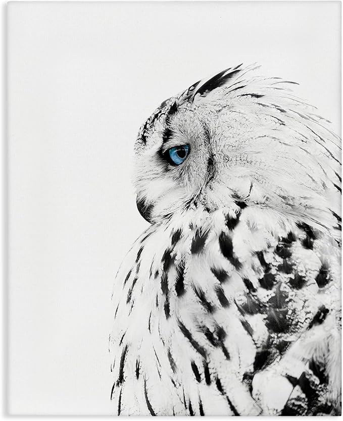 Snow Owl Peering Blue Eyes, 24 x 30 Inch Canvas Wall Art | Stupell Industries | 24 x 30 Inches, Easy to Hang and Sturdy, Made in USA, by Design Fabrikken