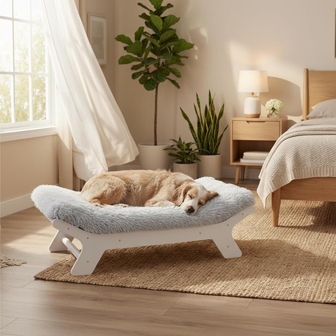Muihood Elevated Wooden Dog Bed with Foam Mattress, White, Large | Raised Dog Bed with Washable Cover, Supportive Foam Mattress, Perfect for Large Dogs and Indoor Living