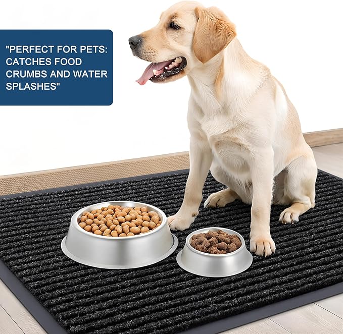 OLANLY Front Door Mat Indoor Outdoor Entrance, Waterproof Heavy Duty Doormat, Fade Resistant, Low Profile, Easy Clean Patio Porch Welcome Floor Mats for Entry, 40x32, Off-Black