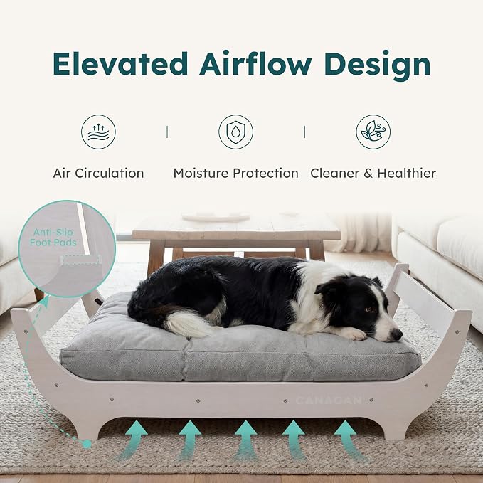 CANAGAN Elevated Wooden Dog Bed with Cushion, White Maple, Medium | Raised Dog Couch Bed with a Washable Cover and Plush PP-Filled Cushion, Designed for Medium Dogs and Stylish Indoor Living