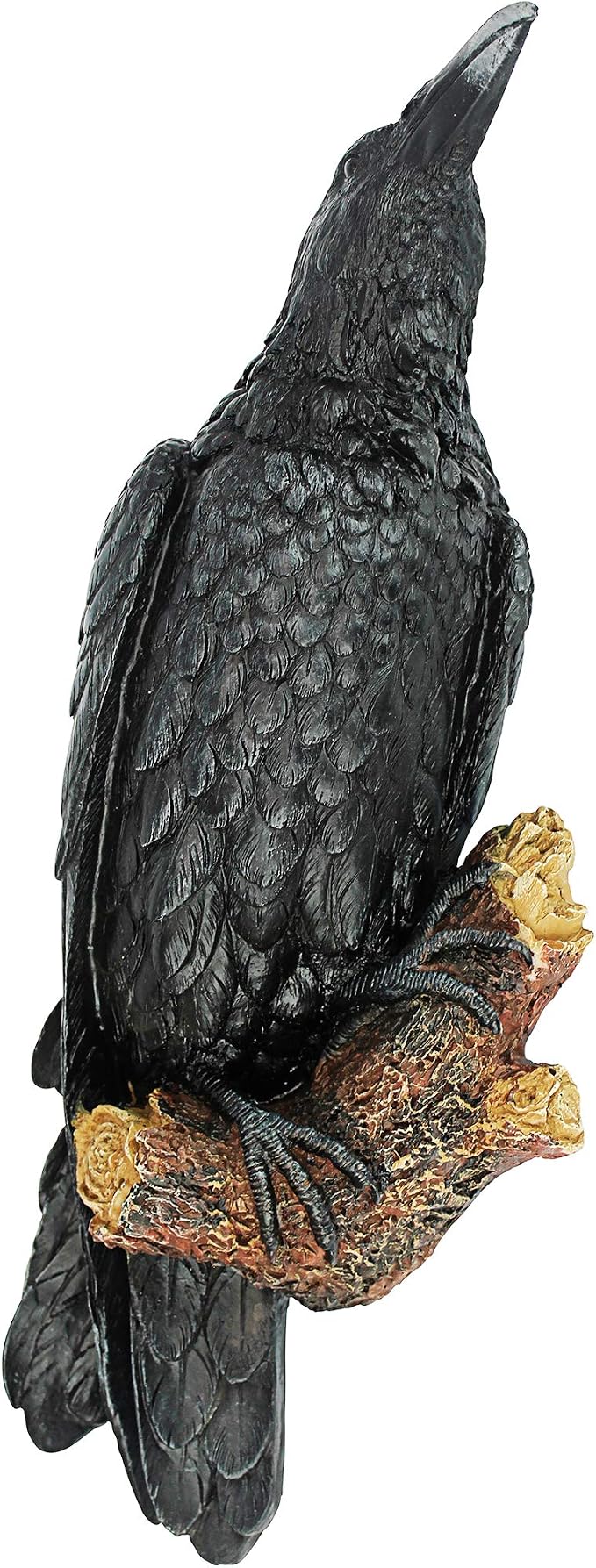 Design Toscano The Raven's Perch Gothic Decor Wall Sculpture, Single