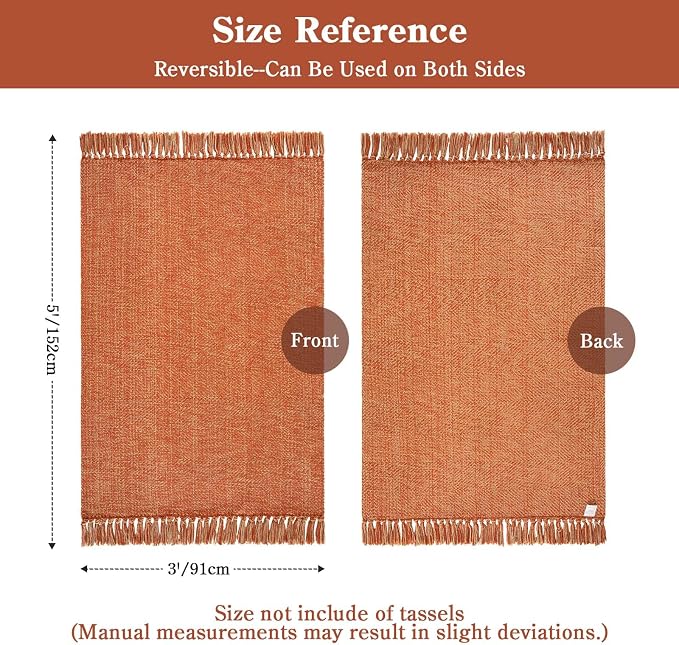 Collive 3' x 5' Indoor Outdoor Rug, Modern Farmhouse Entryway Rug Washable Kitchen Rugs, Hand-Woven Front Door Mat Throw Carpet for Bedside Nursery Porch Terracotta Fall Decor