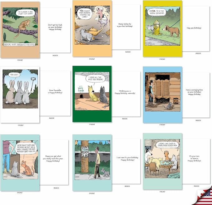 NobleWorks 36 Assorted Funny Birthday Cards in Bulk Box Set with Envelopes Dave Coverly Cartoon Humor Cake Time for Men and Women AC9375BDG-B1x36