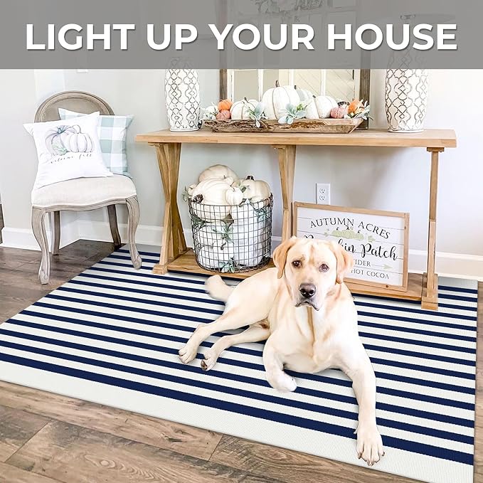 IOHOUZE Striped Area Rug 3'x5' Front Door Rugs Small Washable Area Rug for Front Porch, Spring Summer Welcome Door Mats Outdoor Indoor, Doormat for Entryway Porch Entrance, Navy/White