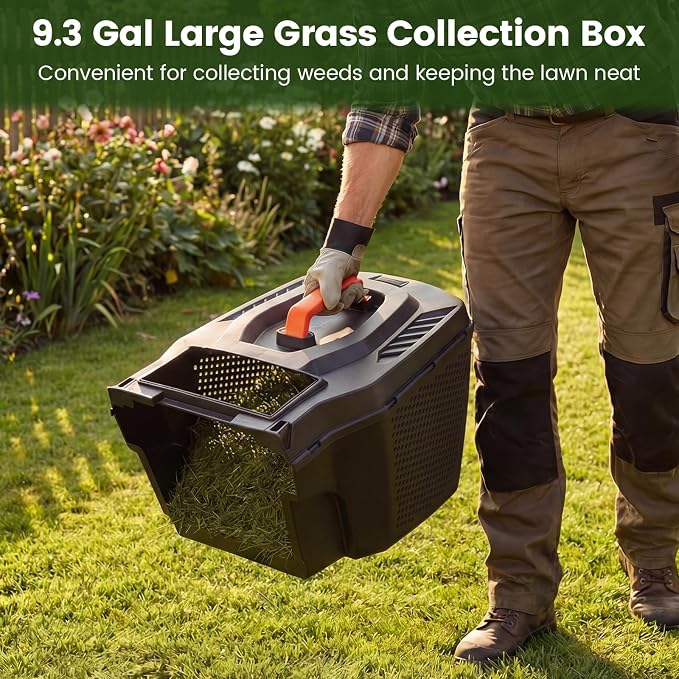 DORTALA Lawn Mower, Corded 14" Electric Push Mower, 3-Position Cutting Height Adjustment, 9.3 Gal Grass Collection Box, 12 AMP Motor, 1500W, Lightweight Walk-Behind Mower for Small Medium Yard (Green)