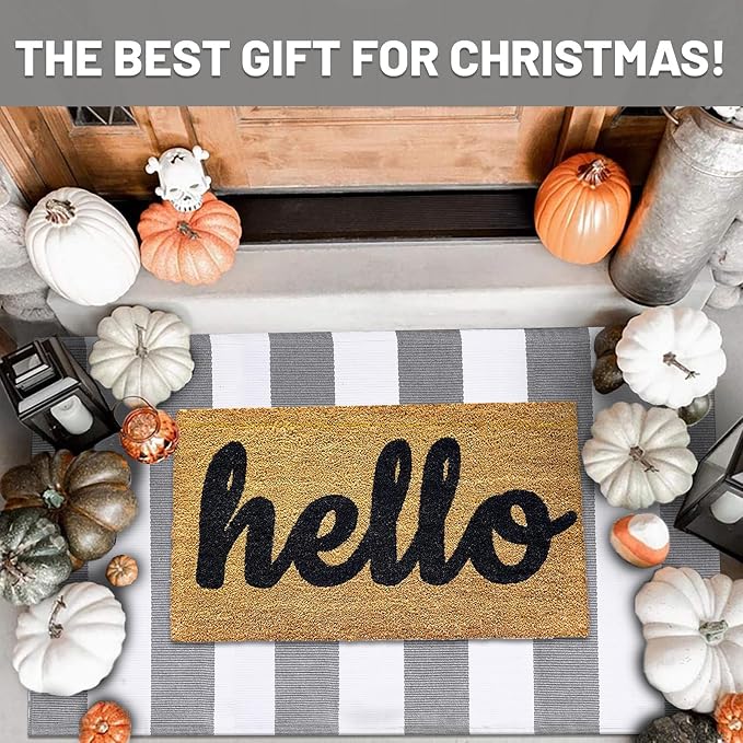 IOHOUZE Grey White Striped Rug -27.5" X 43" Front Door Mats Outdoor,Washable Rug for Front Porch Decor,Spring Summer Welcome Mats Outdoor Indoor, Doormat for Farmhouse/Entryway/Home Entrance