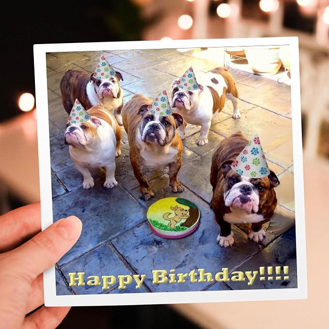 3dRose English Bulldog Birthday - Greeting Cards, 6 x 6 inches, set of 12 (gc_39567_2)