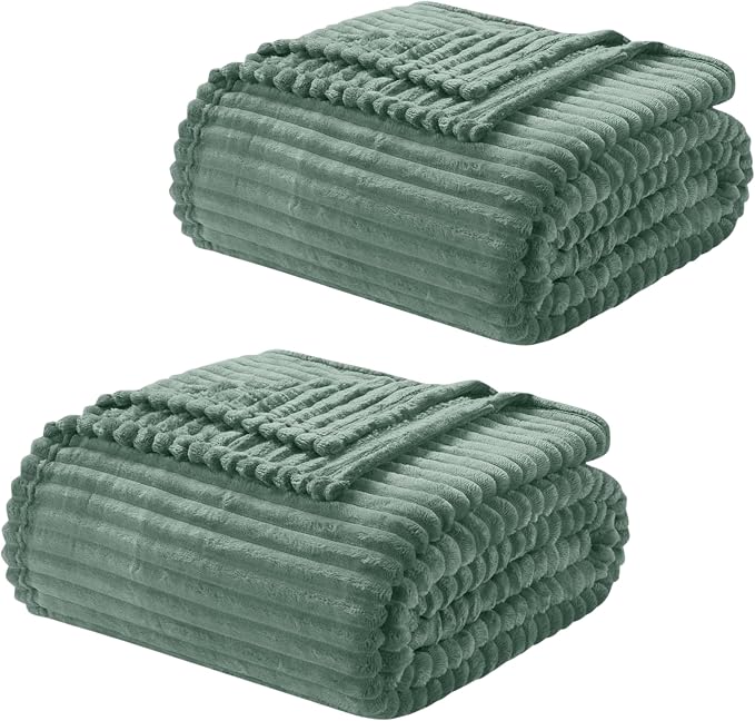 Nestl Green Throw Blanket for Couch - Cozy Warm Fuzzy Blankets for Women, Set of 2 Small Fleece Throws for Girls - Sage Green, 50 x 60 Inches