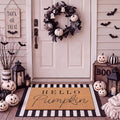 Tinideya 2 Pcs Fall Pumpkin Layering Door Mat, Hello Pumpkin Welcome Coir Mats with Black and White Non Slip Rug for Autumn Front Porch Entryway Decor