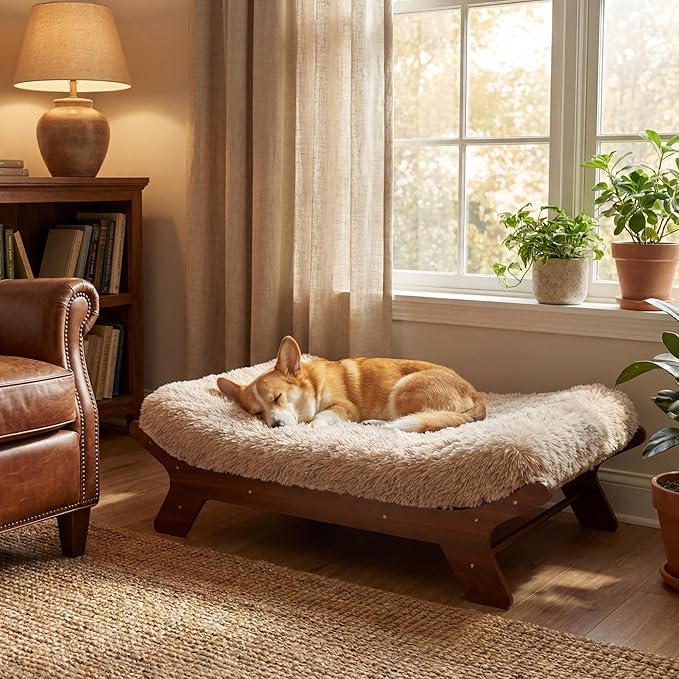 Muihood Elevated Wooden Dog Bed with Foam Mattress, Walnut, Medium | Raised Dog Bed with Washable Cover, Supportive Foam Mattress, Perfect for Medium Dogs and Indoor Living