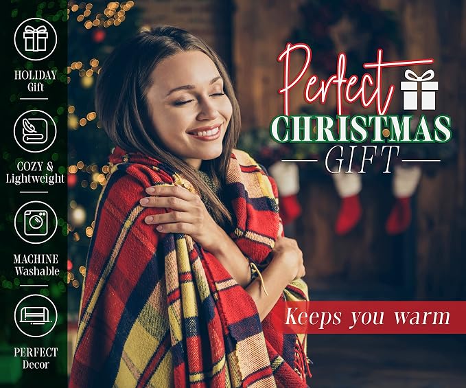 Elegant Comfort Luxury Velvety Feel Blanket, All-Season Lightweight Blanket, Ultra Plush, Soft, Cozy-Fuzzy Flannel Fleece for Couch, Sofa, Bed, Travel, Plaid Design, Twin/Twin XL, Silver Gray