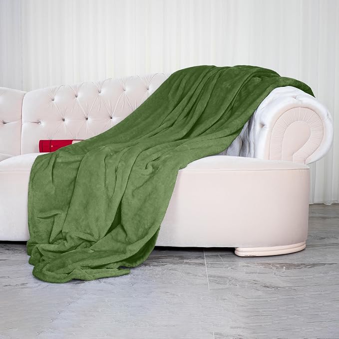 Elegant Comfort Luxury Velvety Softness Fuzzy Plush Micro-Velour Ultra-Soft Blanket, Full/Queen, Green