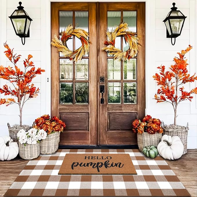 Homydecor Buffalo Plaid Outdoor Rugs, 3'x5' Coffe and White Checkered Area Rug, Layering Rug for Hello/Welcome Door Mat, Washable Cotton Woven Farmhouse Mat for Front Porch Décor