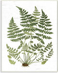 Stupell Industries Forest Botanicals Charming White Willow Greenery, Design by Lettered and Lined Wall Plaque, 13 x 19