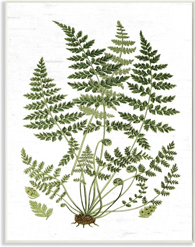 Forest Botanicals Willow, 10 x 15 Inch Mounted Print on Wall Plaque