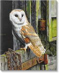 Stupell Industries 'Owl Perched on Barn Door'| Canvas Art | Stupell Industries | 30 x 40 Inches, Easy to Hang and Sturdy, Made in USA, by Steve Burgess