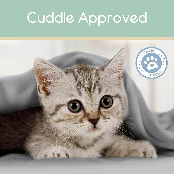 Full/Queen Size Microfleece Blanket | Fleece Bed Blanket | All-Season Comfort | Supersoft Lightweight | Plush Throw Blanket for Bed Couch or Sofa | Pet-Friendly | Light Grey