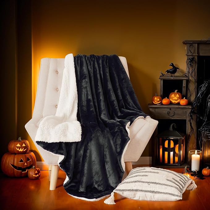 NICETOWN Black Sherpa Fleece Blanket Warm Dual Sided Fluffy Plush Super Soft Lap Blankets and Throws for Kids, Gift Throw Blankets for Women/Baby/All Season, 50 x 60 inches