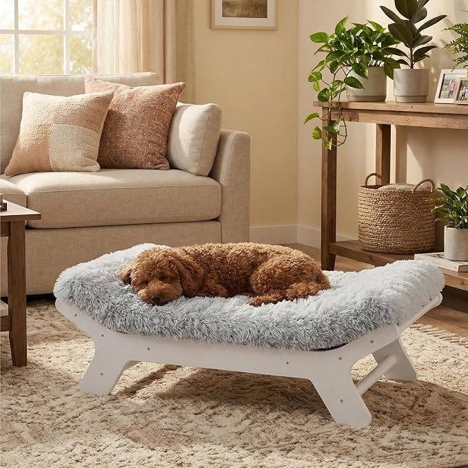 Muihood Elevated Wooden Dog Bed with Foam Mattress, White, Medium | Raised Dog Bed with Washable Cover, Supportive Foam Mattress, Perfect for Medium Dogs and Indoor Living