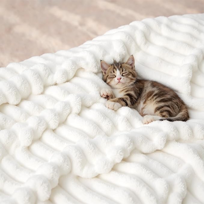 Bedsure GentleSoft White Throw Blanket for Couch - Cozy Soft Blankets for Women, Cute Small Fleece Throws for Girls, House Bedroom Decor Aesthetic Gift for Women, Off White, 50x70 Inches