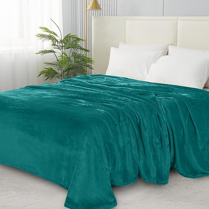 Elegant Comfort ™ Luxury Velvety Softness Fuzzy Plush Micro-Velour Ultra-Soft Blanket, Twin XL, Teal