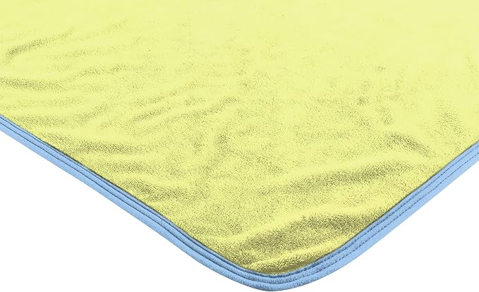 Northwest Bluey Micro Raschel Throw Blanket, 46" x 60", Family Photo
