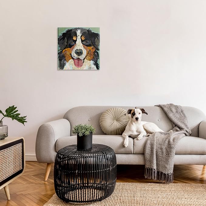 Bernese Mountain Dog Collage, 24 x 24 Inch Canvas Wall Art | Stupell Industries · By Traci Anderson · Ready to hang · Great for pet lovers · Made in USA