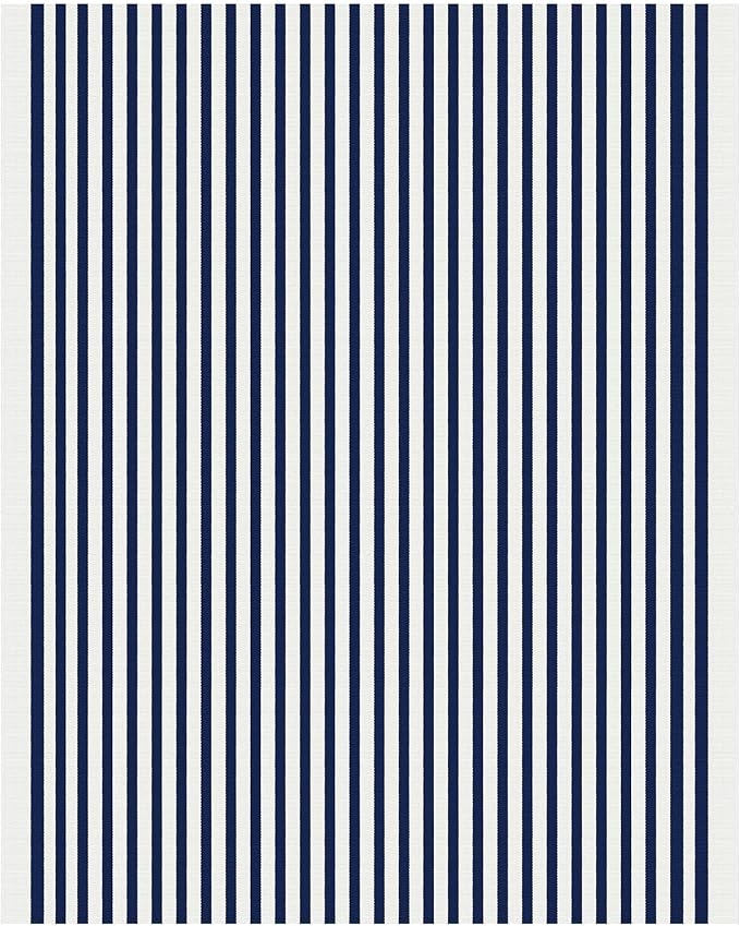 IOHOUZE Striped Area Rug 4'x6' Front Door Rugs Washable Area Rug for Double Front Porch, Large Patio Rug Outdoor Indoor, Doormat for Entryway Porch Entrance, Navy/White