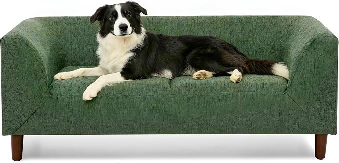 Dog Sofa Couch for Medium Dogs with Backrest and Armrest, Memory Foam Dog Sofa Bed, Modern Elevated Pet Couch Bed with Wooden Legs, Green